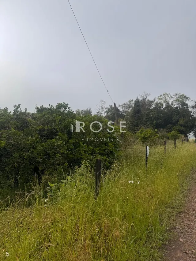 Área rural, foto 4