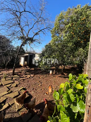 Casa com 3 dormitórios, foto 20
