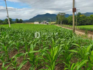 Terreno, foto 1