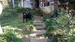 Um gramado com degraus leva a uma parede de concreto na propriedade.