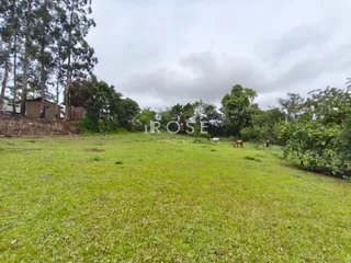 Terreno, foto 7
