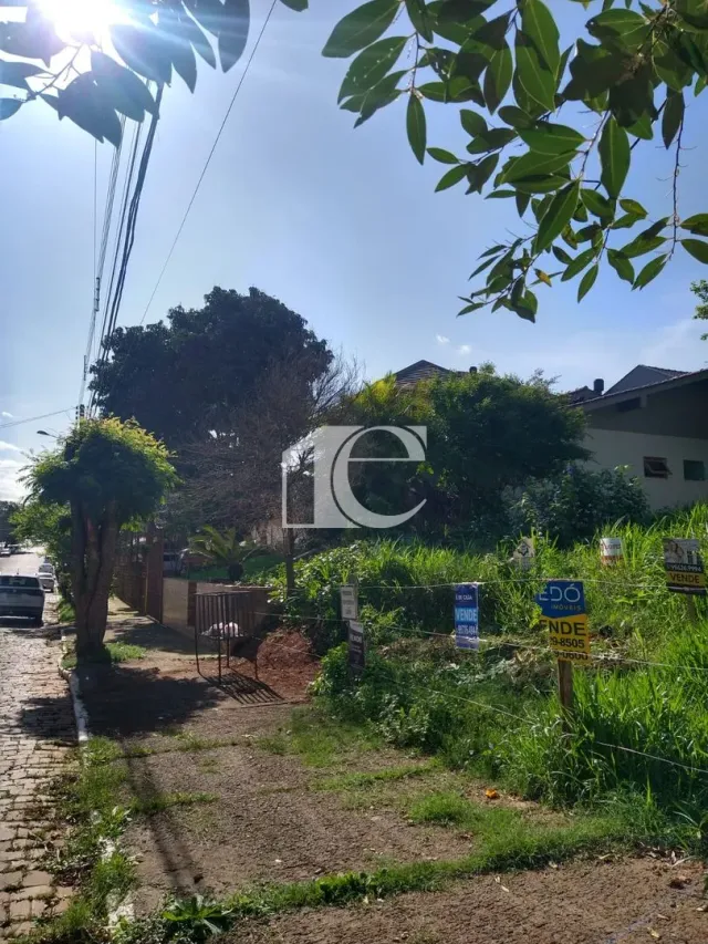 Vista externa de uma propriedade em Lajeado, Brasil, mostrando a vegetação e o acesso.