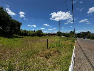 Vista de um campo gramado com vegetação e árvores ao fundo.