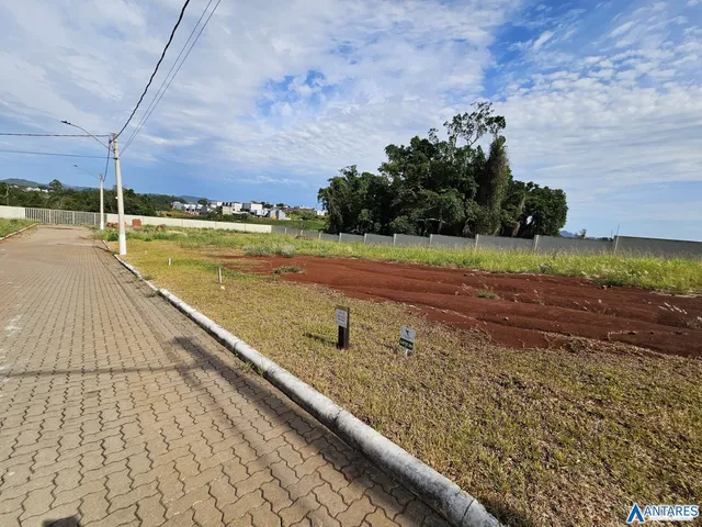 Terreno, foto 2