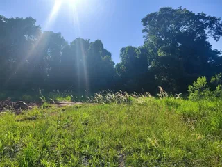 Terreno, foto 4