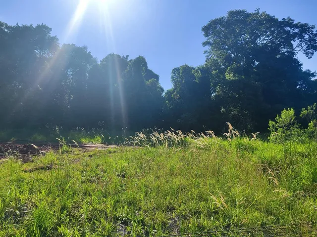 Terreno, foto 4