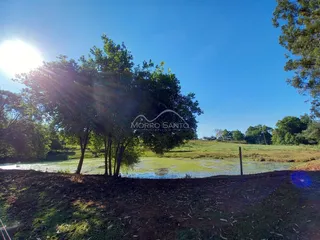 Paisagem de campo com vegetação e corpo d'água sob um céu azul claro.