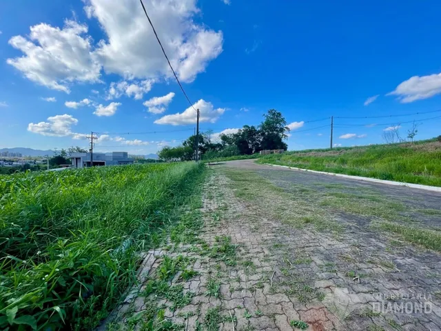 Terreno, foto 2