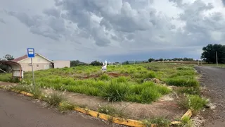 Terreno, foto 2