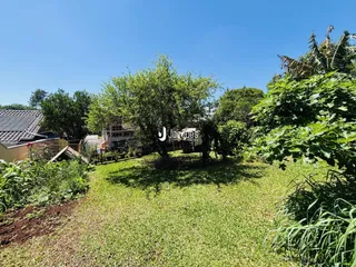 Vista externa de um jardim com grama e vegetação densa.