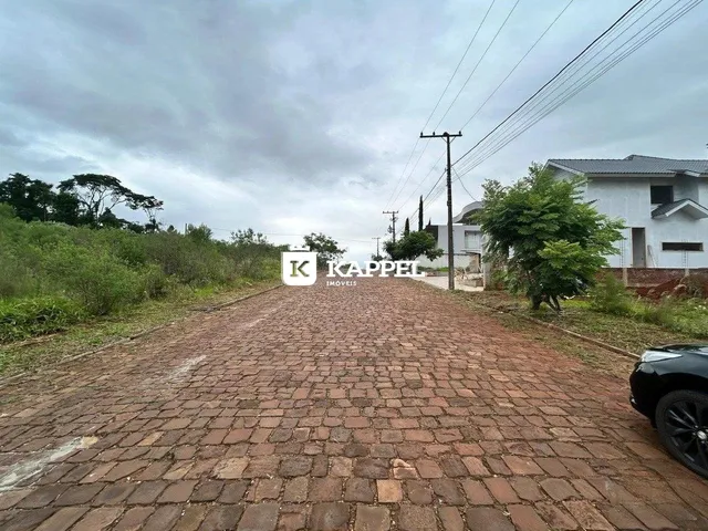 Vista de uma estrada de terra em uma área externa.