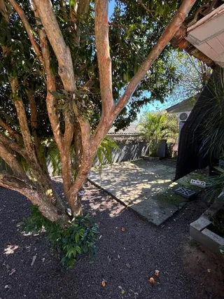 Casa com 3 dormitórios, foto 4