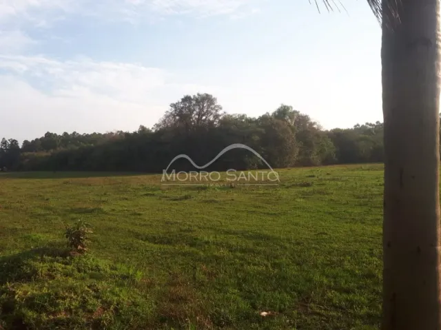 Vista de um campo aberto com vegetação ao fundo.