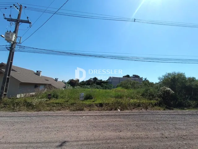 Vista externa de uma propriedade com vegetação densa e poste de energia.