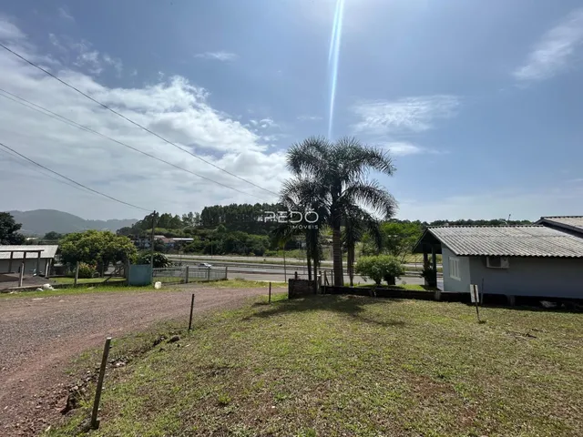 Vista externa de uma propriedade com vegetação e estrada de terra.