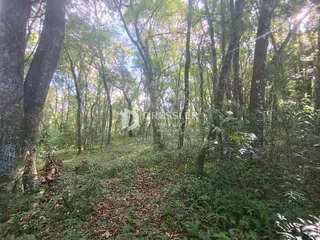 Área rural, foto 17
