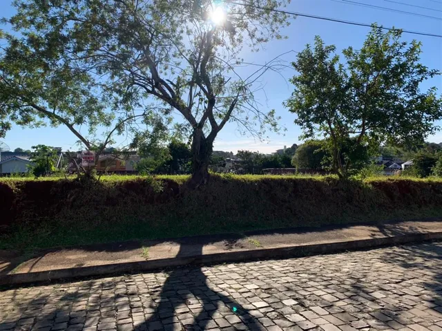 Terreno, foto 4