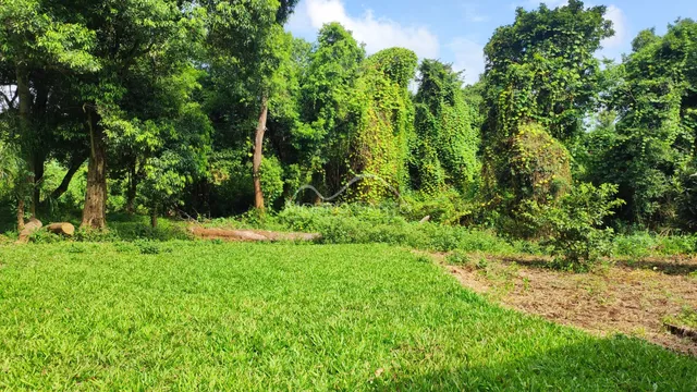 Área rural, foto 2