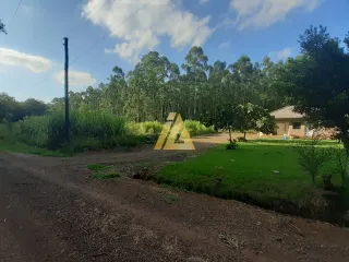 Terreno, foto 5