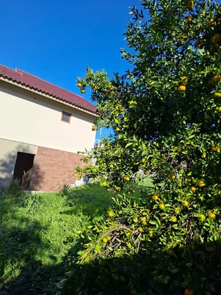 Casa com 2 dormitórios, foto 16