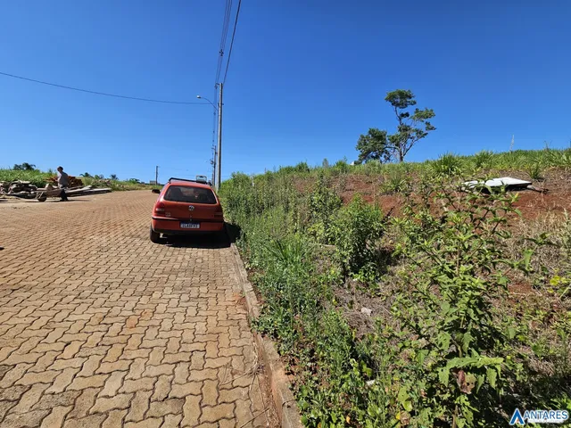 Terreno, foto 3