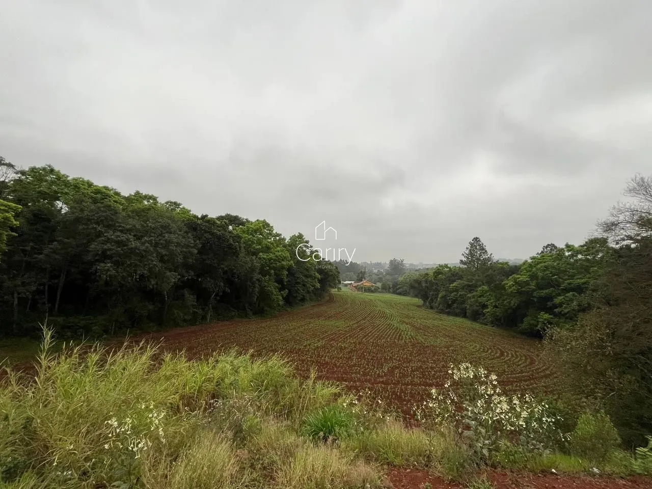 Terreno, foto 1
