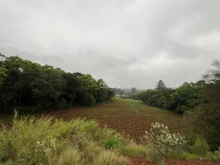 Terreno, foto 1