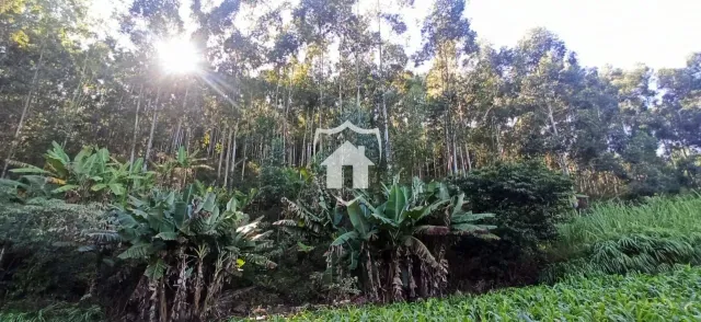 Área rural, foto 4