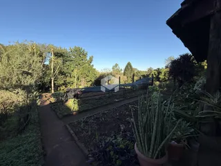 Área rural com 3 dormitórios, foto 10