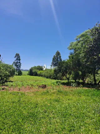 Vista de um campo verde com árvores ao fundo.