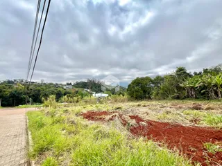 Paisagem de terreno com vegetação e solo avermelhado.
