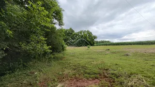 Vista de um campo gramado com vegetação densa ao fundo.