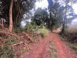 Terreno, foto 20