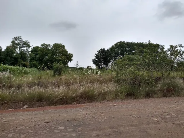 Terreno, foto 2