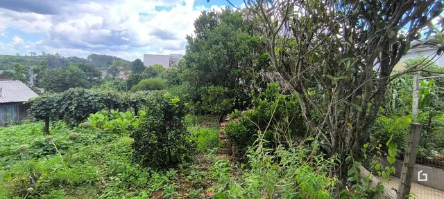 Casa com 3 dormitórios, foto 3