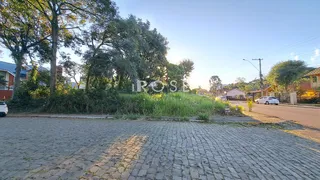 Terreno, foto 2