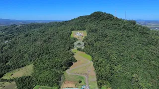 Vista aérea de uma propriedade cercada por densa vegetação na região de Lajeado.