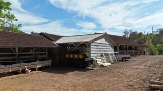 Área rural, foto 12