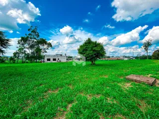 Vista de uma propriedade com gramado verde e árvores sob um céu azul.