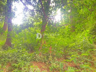 Terreno, foto 10
