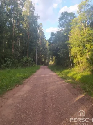 Área rural, foto 12