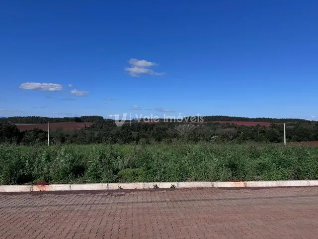 Terreno, foto 2