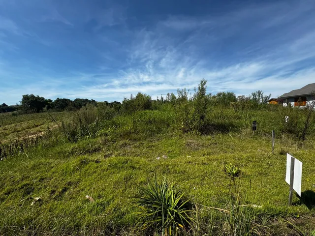 Terreno, foto 2