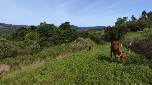 Área rural, foto 3