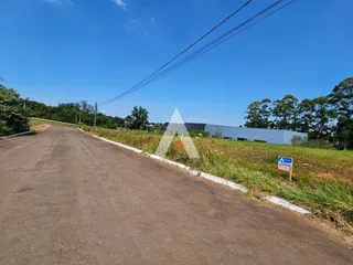 Terreno, foto 3