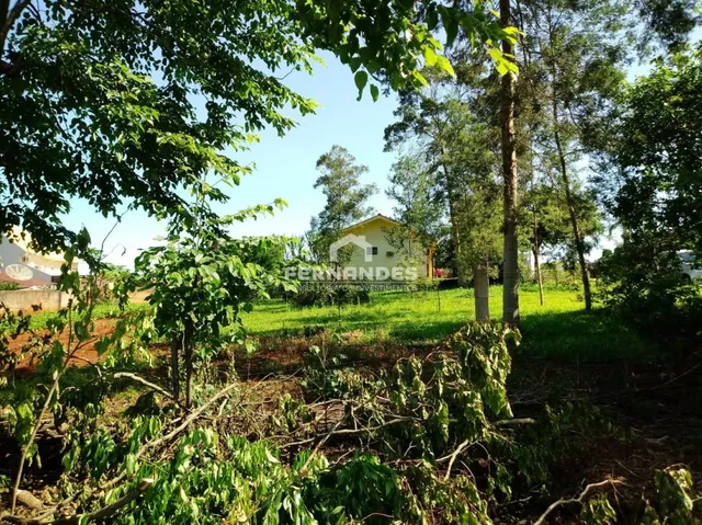 Terreno, foto 3