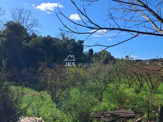 Área rural com 4 dormitórios, foto 9