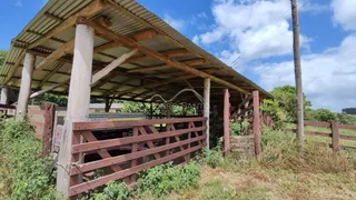 Área rural, foto 18