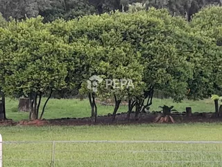 Área rural com 2 dormitórios, foto 12