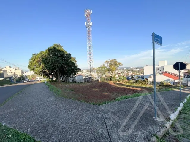 Terreno, foto 3